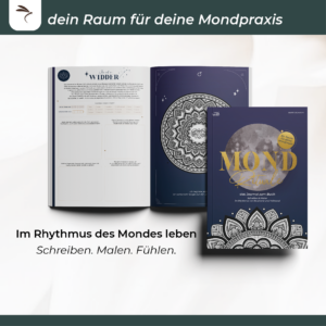 Alternative view of MOND-MAL-JOURNAL